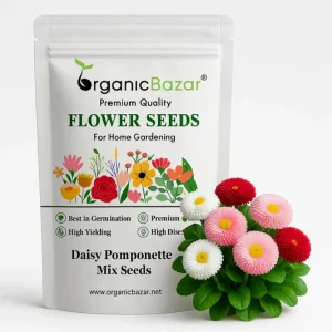 Max Corp Daisy Flower seed